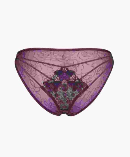 Embroidery Mesh Lingerie