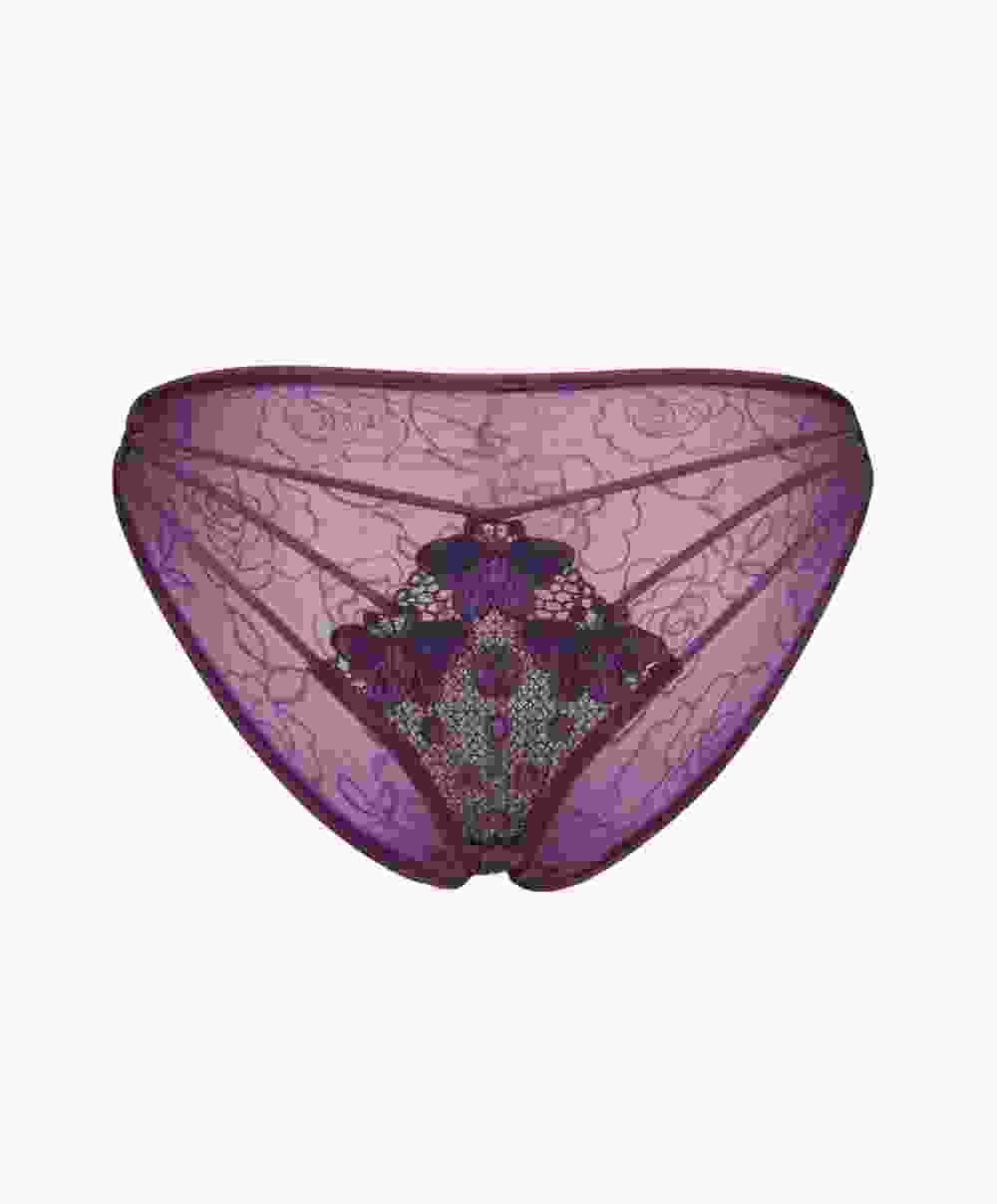 Embroidery Mesh Lingerie